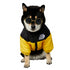 Dog Winter Coat Windproof Jacket for Small Medium Dogs for Cold Weather
