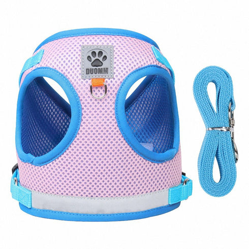 Cute Reversible Dog Harness Walking Halte