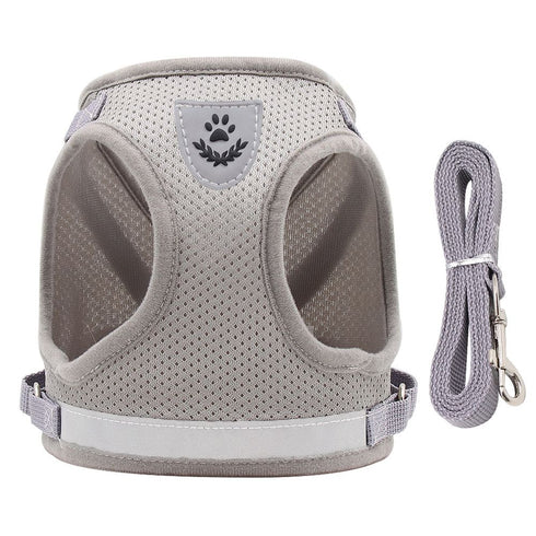 Dog Breathable Walking Vest Harnesses