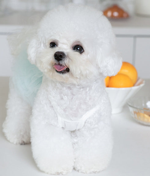 Dog Outfit Cute Puppy Dress Dog Tutu Cat Apparel Pet Clothes