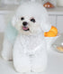 Dog Outfit Cute Puppy Dress Dog Tutu Cat Apparel Pet Clothes