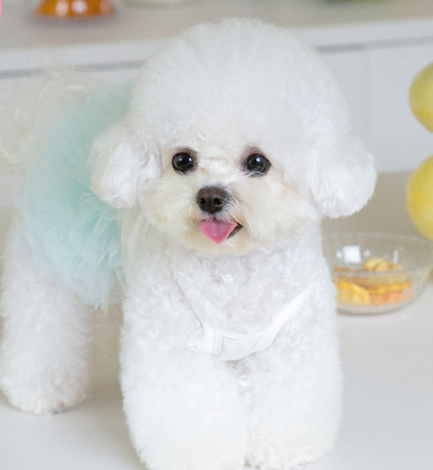 Dog Outfit Cute Puppy Dress Dog Tutu Cat Apparel Pet Clothes
