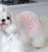 Dog Outfit Cute Puppy Dress Dog Tutu Cat Apparel Pet Clothes