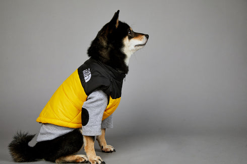 Dog Puffer Vest Warm Cold Weather Coat Snow Winter Vest for Dogs Cats Puppies