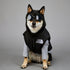 Dog Puffer Vest Warm Cold Weather Coat Snow Winter Vest for Dogs Cats Puppies