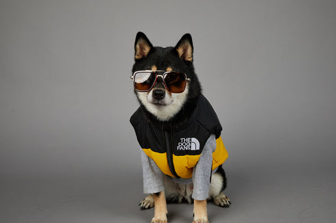 Dog Puffer Vest Warm Cold Weather Coat Snow Winter Vest for Dogs Cats Puppies