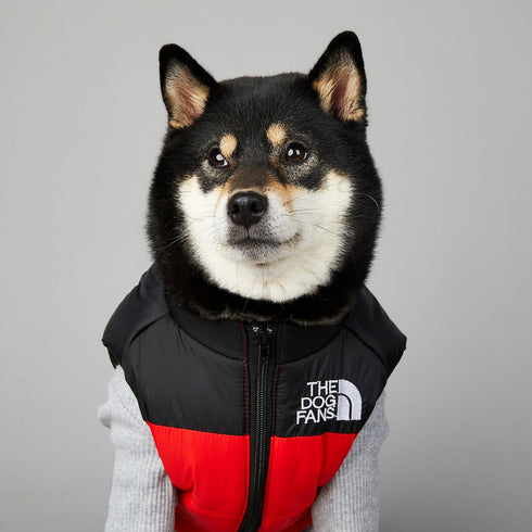 Dog Puffer Vest Warm Cold Weather Coat Snow Winter Vest for Dogs Cats Puppies