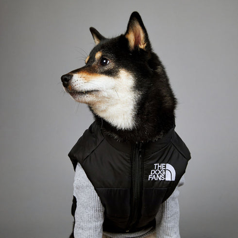 Dog Puffer Vest Warm Cold Weather Coat Snow Winter Vest for Dogs Cats Puppies