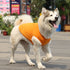 Dogs Pullover Soft Puppy Cute Blank Clothes