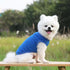 Dogs Pullover Soft Puppy Cute Blank Clothes