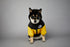 Dog Winter Coat Windproof Jacket for Small Medium Dogs for Cold Weather