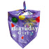 Dog Birthday Hat Cute Party Bandana Scarf