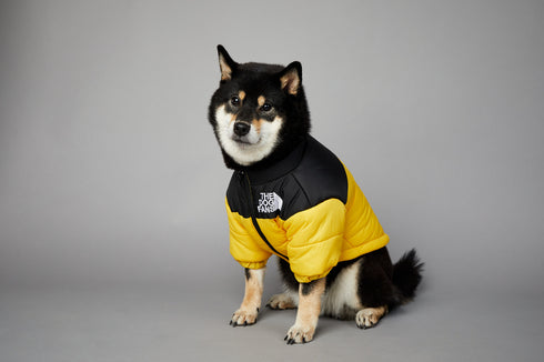 Dog Winter Coat Windproof Jacket for Small Medium Dogs for Cold Weather