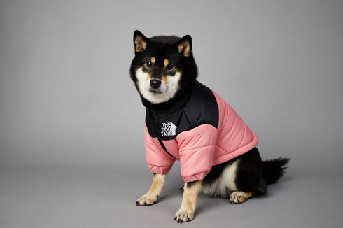 Dog Winter Coat Windproof Jacket for Small Medium Dogs for Cold Weather