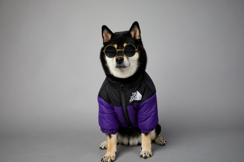 Dog Winter Coat Windproof Jacket for Small Medium Dogs for Cold Weather