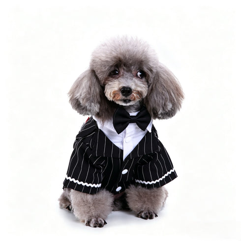 Dog Wedding Shirt Formal Tuxedo with Black Tie
