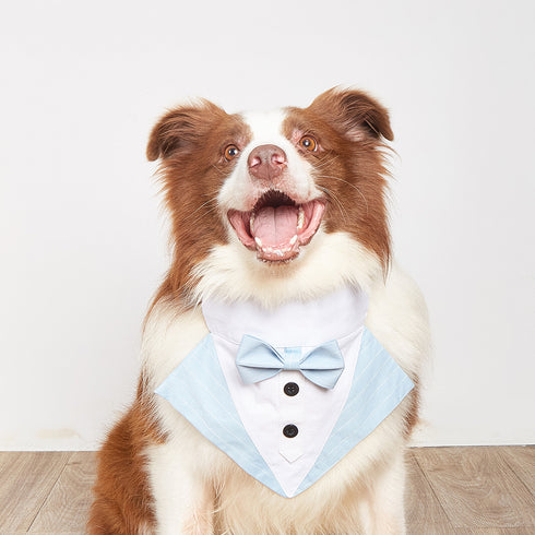 Adjustable Formal Collar Dog Wedding Bandana