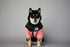 Dog Winter Coat Windproof Jacket for Small Medium Dogs for Cold Weather