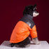 Warm Dog Jacket Winter Cold Weather Coats for Small Medium Large Dogs