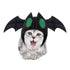 Halloween Costume Kittens Black Hat Bat Hat