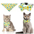 Kitty Summer Pineapple and Lemon Collar