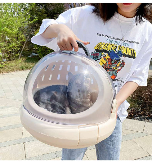 Transparent Bubble Carrier for Kittens