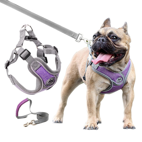 Breathable Soft Air Mesh Harnesses for Puppy