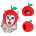 Apple Pet Birthday Funny Fruit Hat