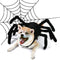 Halloween Pet Spider Harness Costume