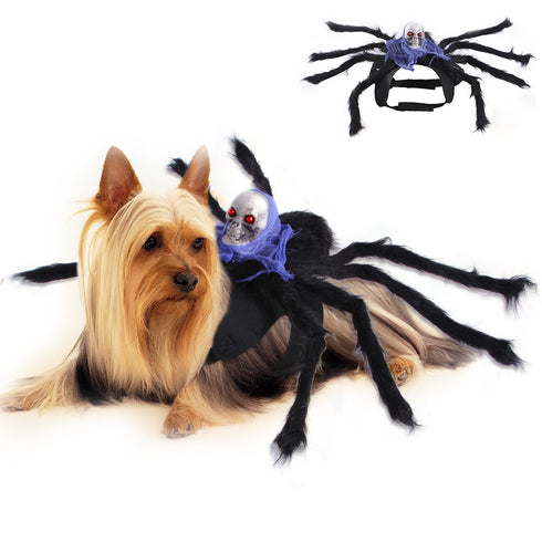 Halloween Pet Spider Costumes Cosplay