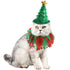 Cat Christmas Costume Hat and Collar