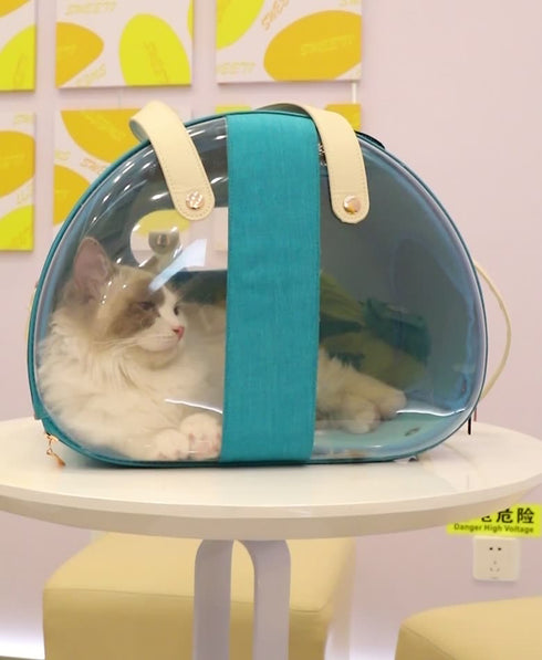 Airline-Approved Space Capsule Carrier Bag