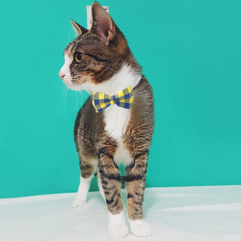 Classic Plaid Bowtie Cat Collars