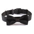 Formal Black Pet Bowtie Collar
