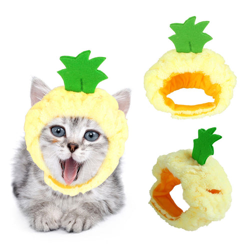 Cute Pet Hat Fruit Pineapple Cap Party Costume