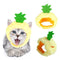 Cute Pet Hat Fruit Pineapple Cap Party Costume