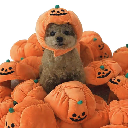 Halloween Pumpkin Hats for Kitten Puppy