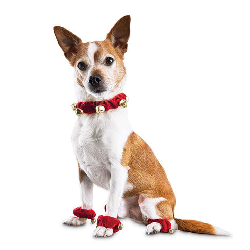Christmas Holiday Dog Accessories Red Collar