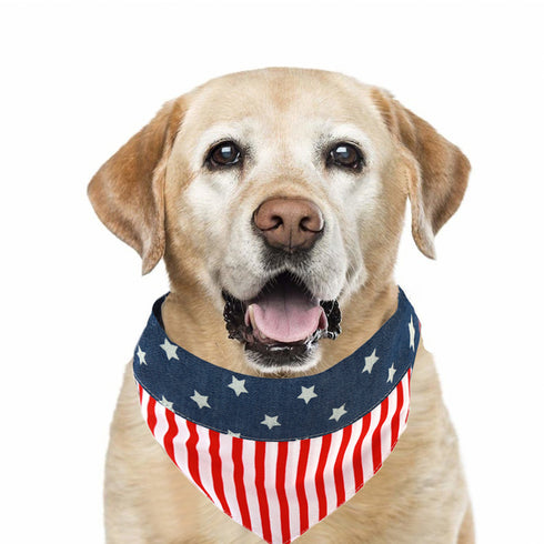 Cute American Flag Dog Bandana