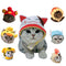 Costume Accessories Cute Pet Hat for Kitten Puppy