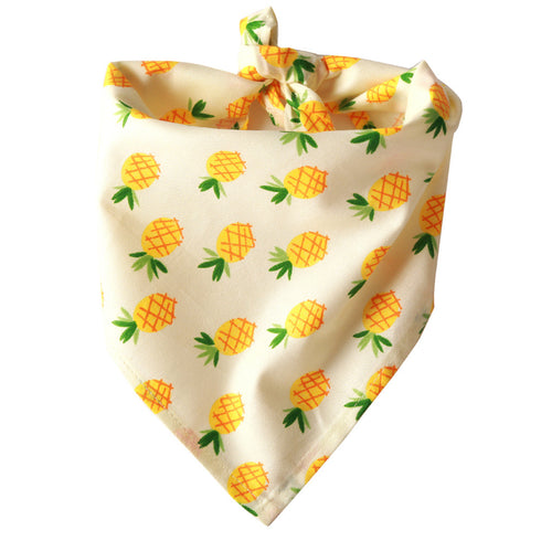 Fruit Pattern Cooling Summer Cute Dog Bandana