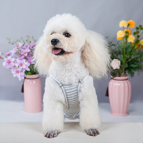 Dog Washable Reusable Sanitary Pantie Diaper