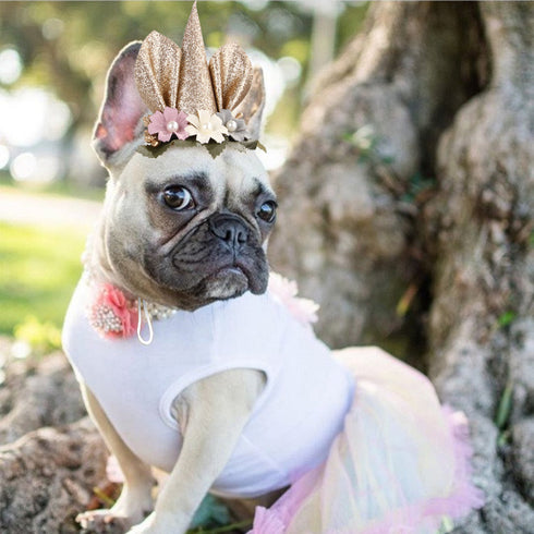 Pet Costume Unicorn Halloween Birthday Cap