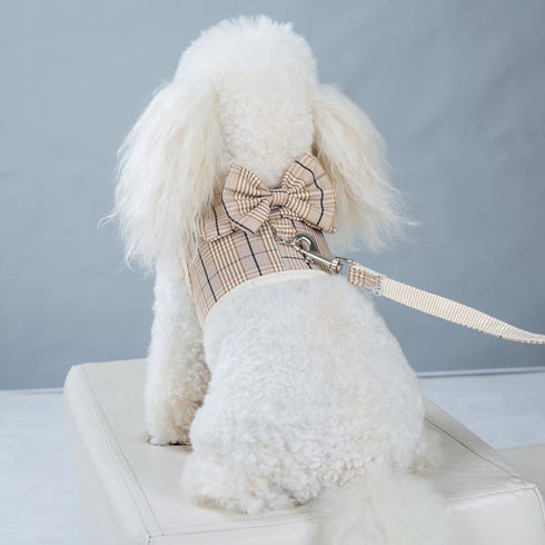 Dog Plaid Puppy Clothes with Leash