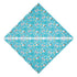 Birthday Bandana Scarf Party Supplies
