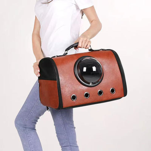 Pet Travel Cats Carrying Handbag
