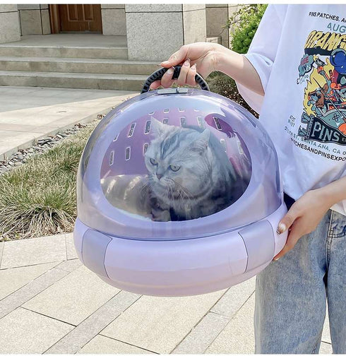 Transparent Bubble Carrier for Kittens