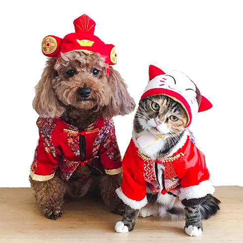 Costume Accessories Cute Pet Hat for Kitten Puppy