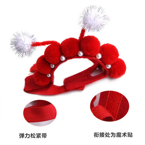 Cat Cute Chinese New Year Costume