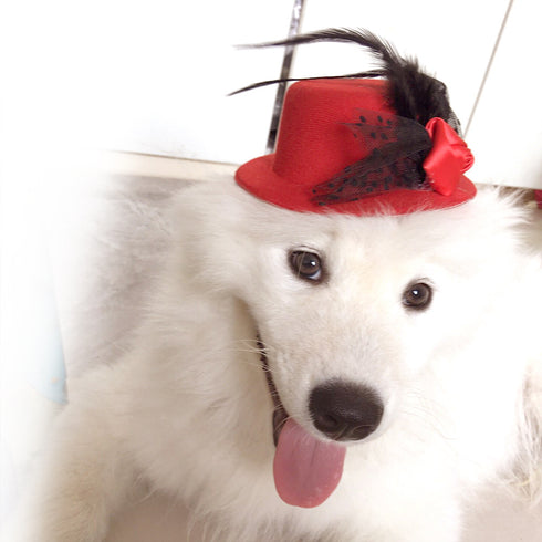 Princess Dog Hat Mesh Sun Cap